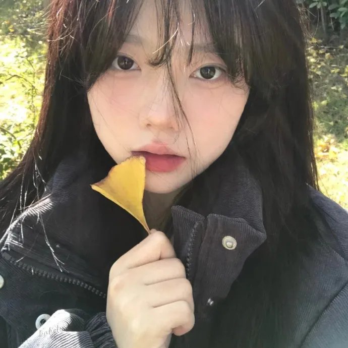 燃情四季海报